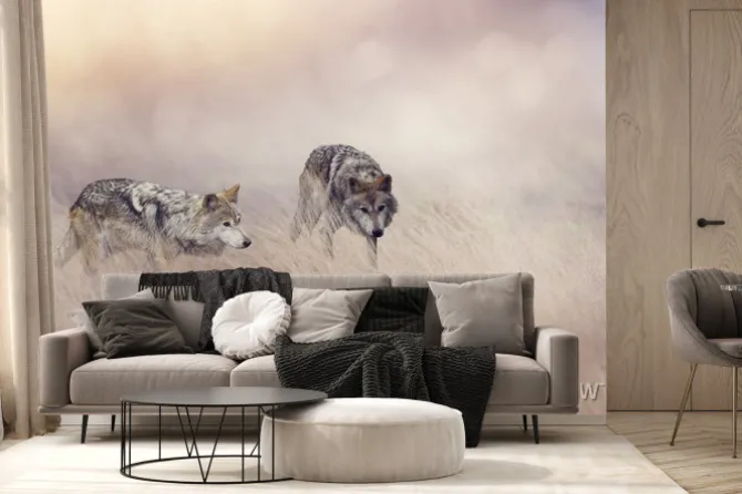 Fototapeta: Dwa wilki w wysokiej trawie