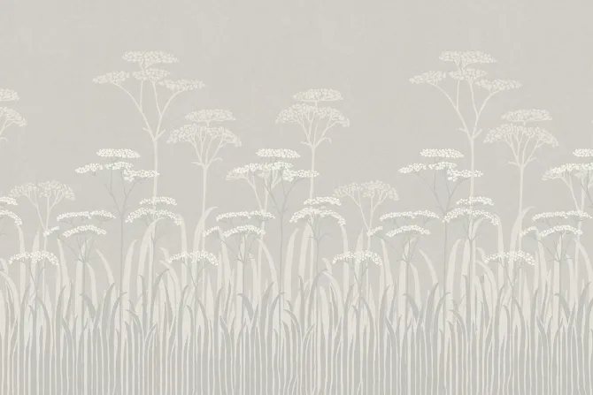 Fototapeta: Dzika łąką z polnymi kwiatami