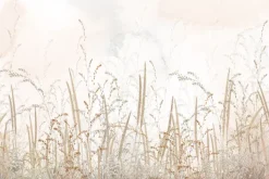 Fototapeta: Dzika łąka z trawami na beżowym tle