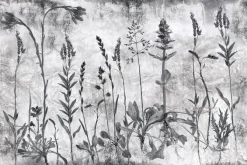 Fototapeta: Dzikie kwiaty na łące z lawendą