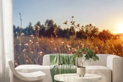 Fototapeta: Dzikie kwiaty na łące o zachodzie słońca