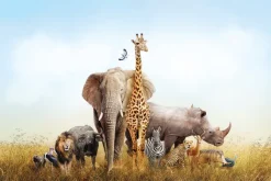 Fototapeta: Dzikie zwierzęta na safari