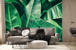 Fototapeta: Egzotyczne liście bananowca