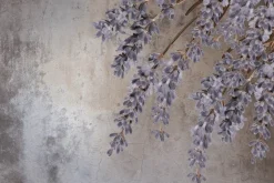 Fototapeta: Fioletowe kwiaty lawendy na betonie
