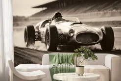 Fototapeta: Formuła 1 podczas wyścigu na torze