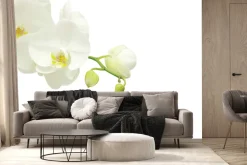 Fototapeta: Gałązka kwitnącego białego storczyka