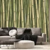 Fototapeta: Green bamboo stems. bamboo thickets, decorative scenic background.