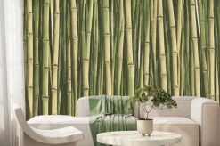 Fototapeta: Green bamboo stems. bamboo thickets, decorative scenic background.