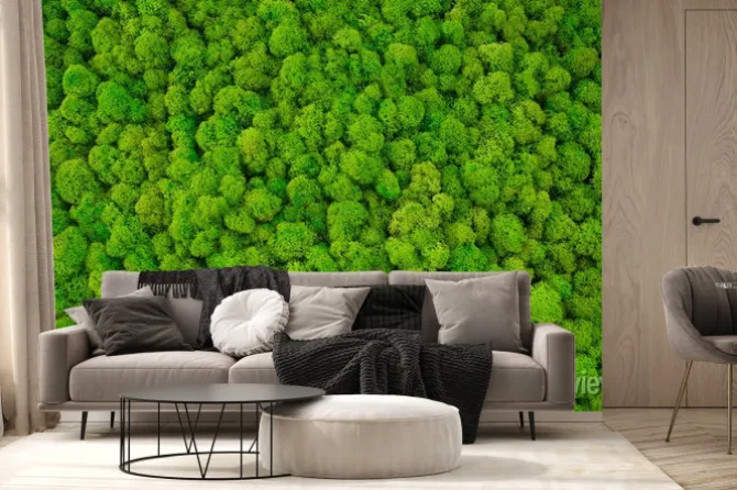 Fototapeta: Gęsty mech w kolorach zieleni