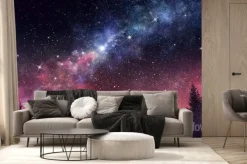 Fototapeta: Gwiaździste niebo nad ciemnym lasem