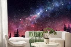 Fototapeta: Gwiaździste niebo nad ciemnym lasem