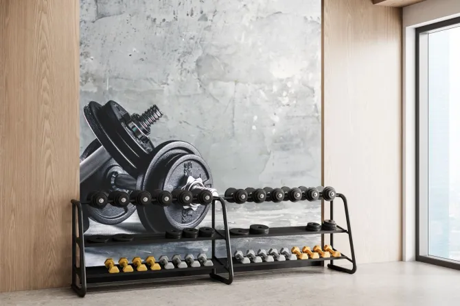 Fototapeta: Hantle ciężary na betonowym tle