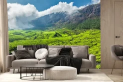 Fototapeta: Herbata plantacji w indiach