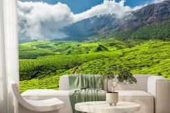 Fototapeta: Herbata plantacji w indiach