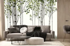 Fototapeta: Ilustracja letniego brzozowego lasu