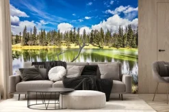 Fototapeta: Jeleń z rogami branchy kosztuje od urokliwego jeziora