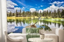 Fototapeta: Jeleń z rogami branchy kosztuje od urokliwego jeziora