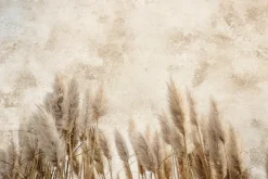 Fototapeta: Jesienne trawy na beżowej ścianie