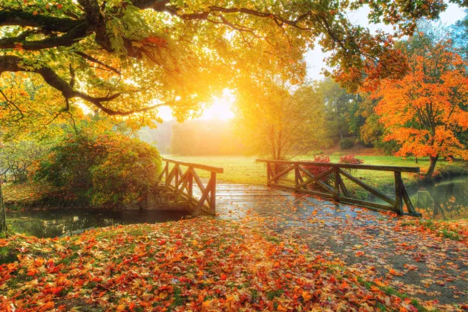 Fototapeta: Jesienny krajobraz wschód słońca w parku