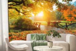 Fototapeta: Jesienny krajobraz wschód słońca w parku