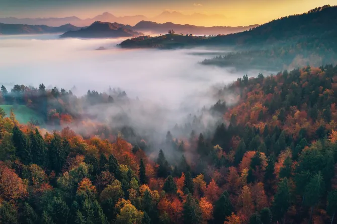 Fototapeta: Jesienny krajobraz poranek las we mgle