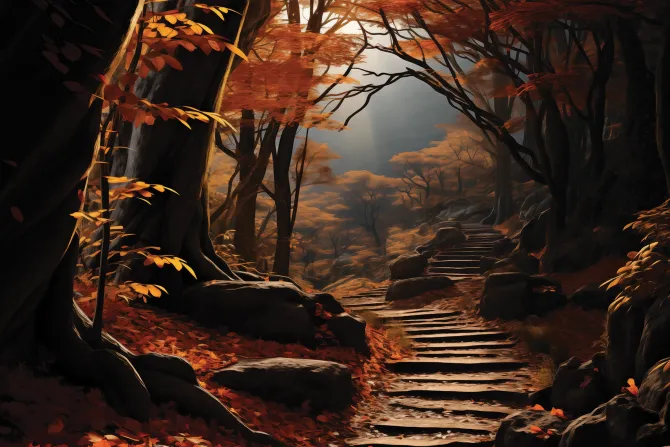 Fototapeta: Jesienny krajobraz lasu ze schodami