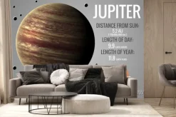 Fototapeta: Jowisz - infograficzna prezentuje jedną z planet układu słonecznego