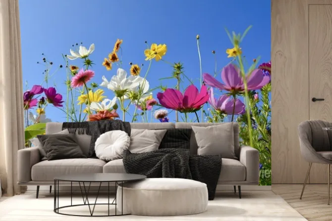 Fototapeta: Łąka z kolorowymi kwiatami