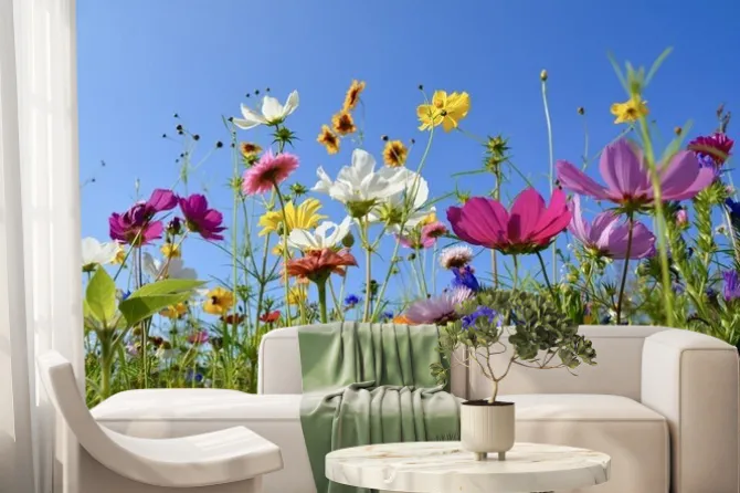 Fototapeta: Łąka z kolorowymi kwiatami