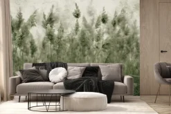 Fototapeta: Łąka z suszonymi trawami trzciny