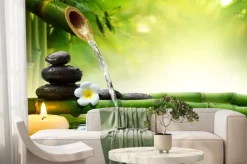 Fototapeta: Kamienie w ogrodowym spa z wodą i bambusami