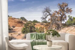 Fototapeta: Kamienna pustynia z roślinnością