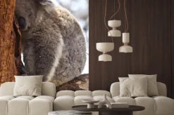 Fototapeta: Koala śpi w ciągu dnia