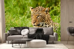 Fototapeta: Kobieta lamparta portret