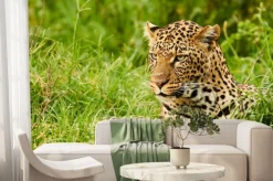 Fototapeta: Kobieta lamparta portret