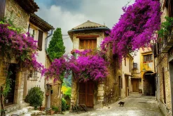 Fototapeta: Kolorowa aleja z bugenwillą w zabytkowym miasteczku