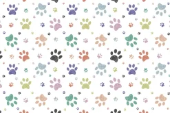 Fototapeta: Kolorowe łapy psów