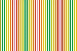 Fototapeta: Kolorowe paski na białym tle