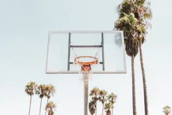 Fototapeta: Kosz koszykówki na tle palm