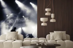 Fototapeta: Kołysać scenie koncertowej. gitarzysta gra na gitarze elektrycznej.