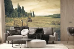 Fototapeta: Krajobraz