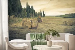 Fototapeta: Krajobraz