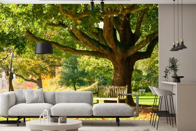 Fototapeta: Krajobraz ławka w parku jesienią