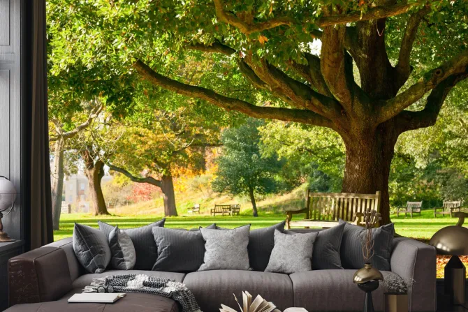 Fototapeta: Krajobraz ławka w parku jesienią