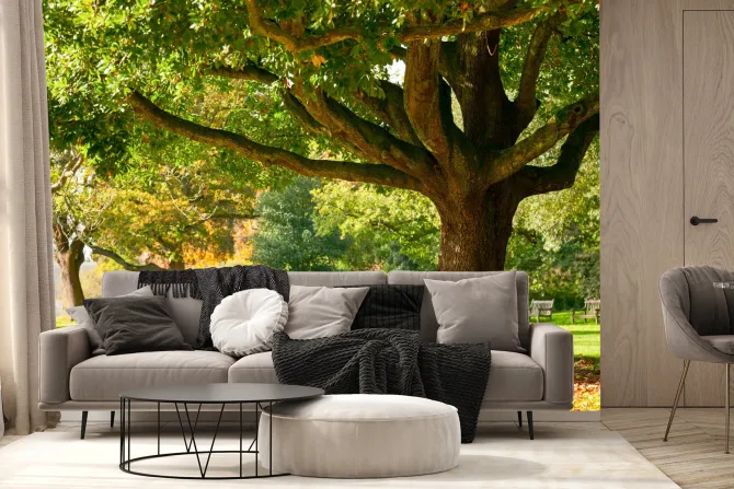 Fototapeta: Krajobraz ławka w parku jesienią