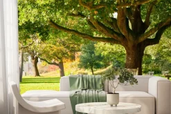 Fototapeta: Krajobraz ławka w parku jesienią