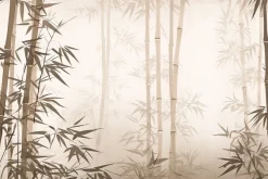 Fototapeta: Krajobraz bambusowego lasu