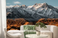 Fototapeta: Krajobraz droga na tle ośnieżonych szczytów górskich