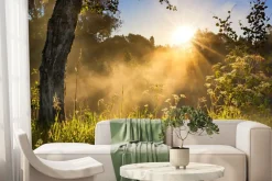 Fototapeta: Krajobraz łąki z wschodem słońca