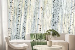 Fototapeta: Krajobraz las brzozowy o poranku